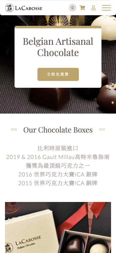 Website Mobile View
