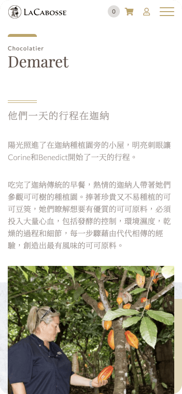 Website Mobile View