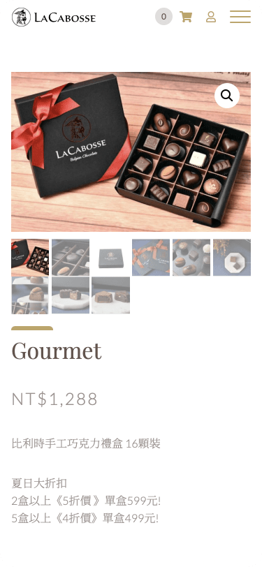 Website Mobile View