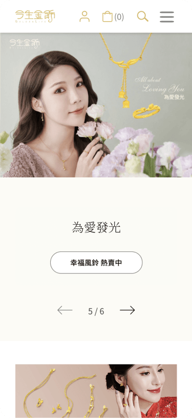 Website Mobile View