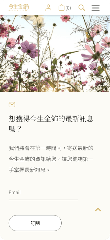 Website Mobile View