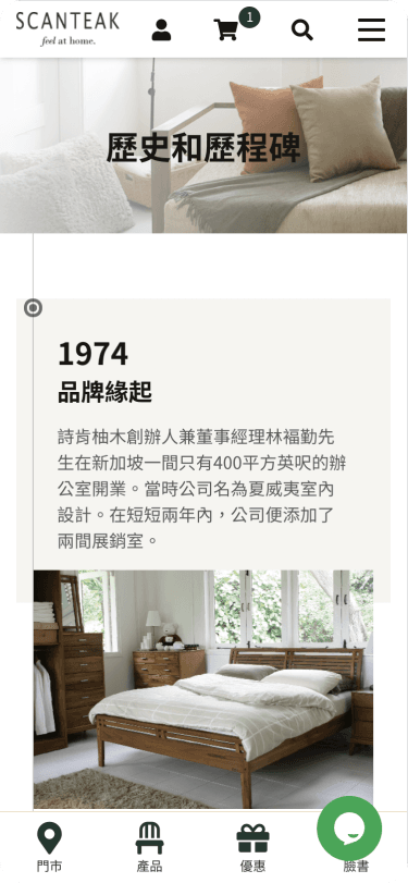 Website Mobile View