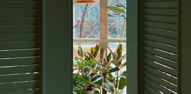 Lido Garden-image