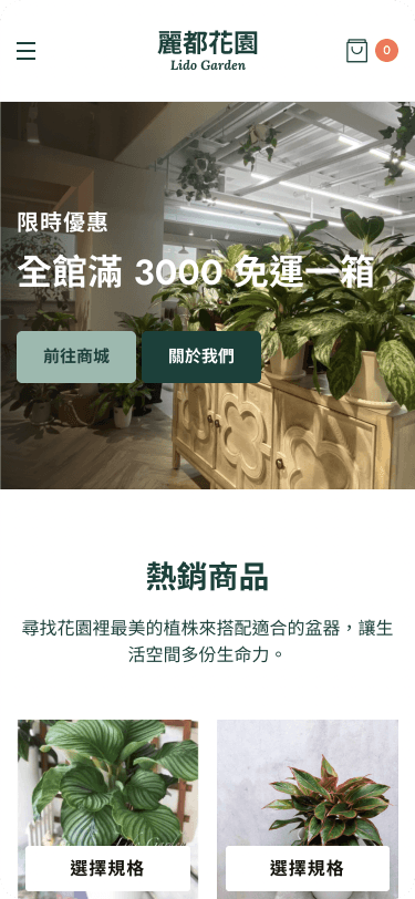 Website Mobile View