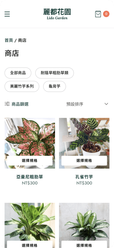 Website Mobile View