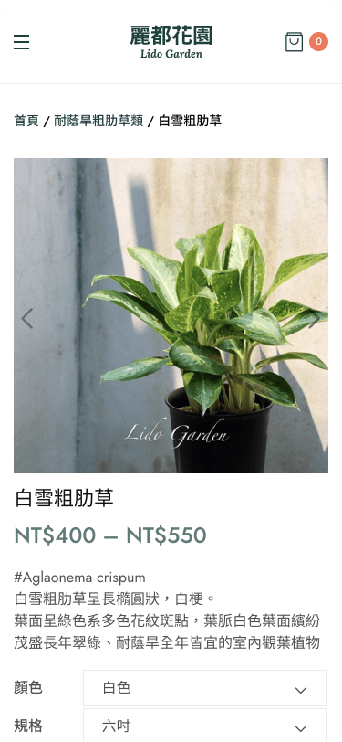 Website Mobile View