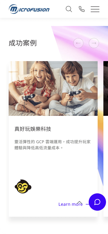 Website Mobile View