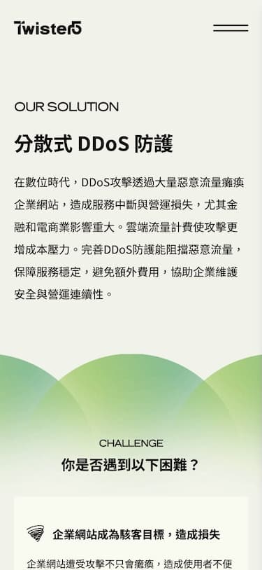 Website Mobile View